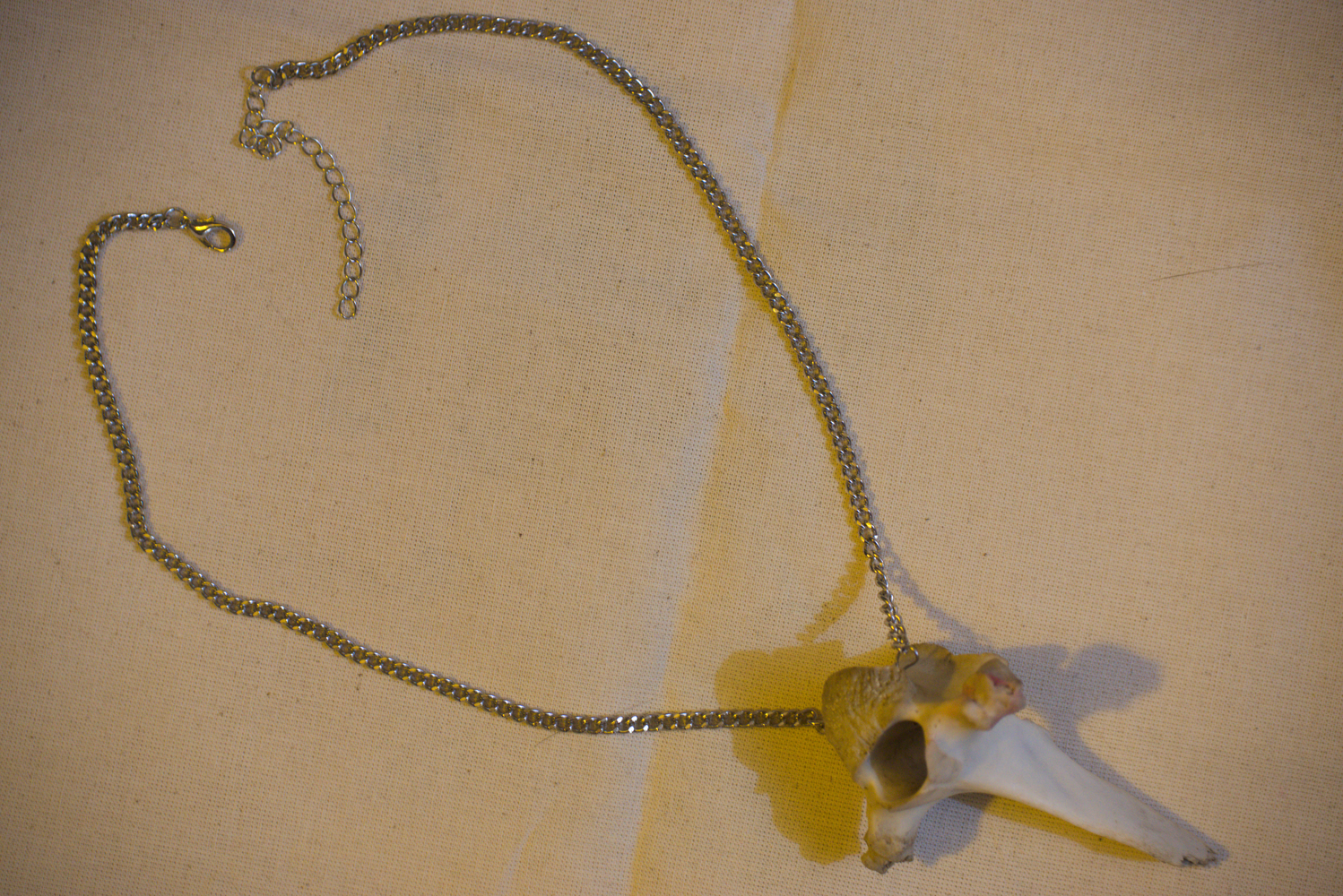 VertibNeck01