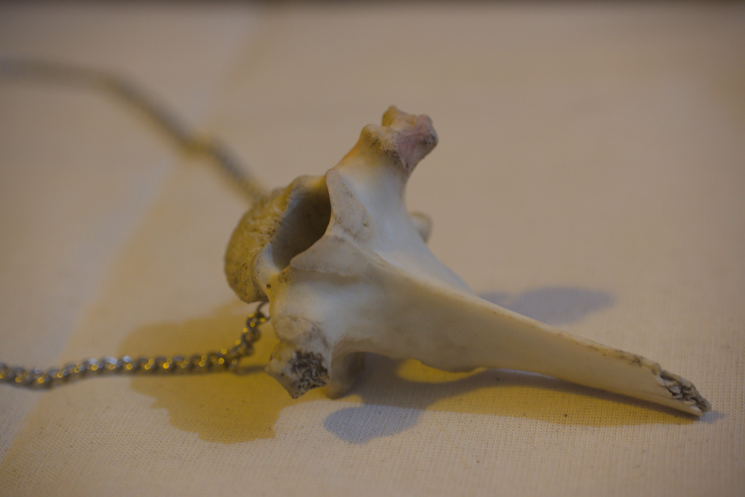 VertibNeck03